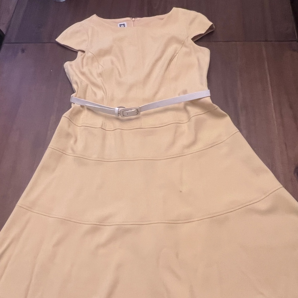 Stylish A-line dress.